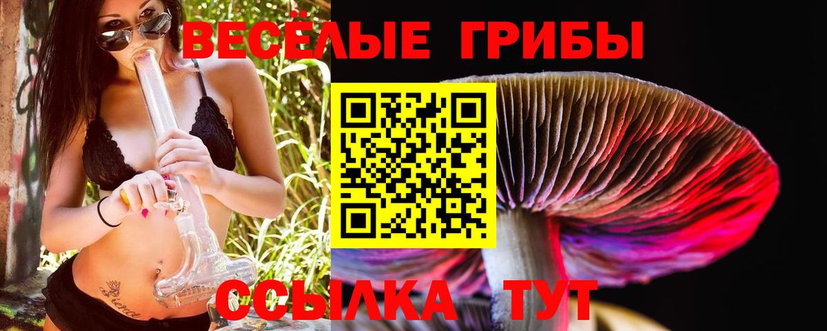 Юрга  Псилоцибиновые грибы GOLDEN TEACHER  Вход с VPN 