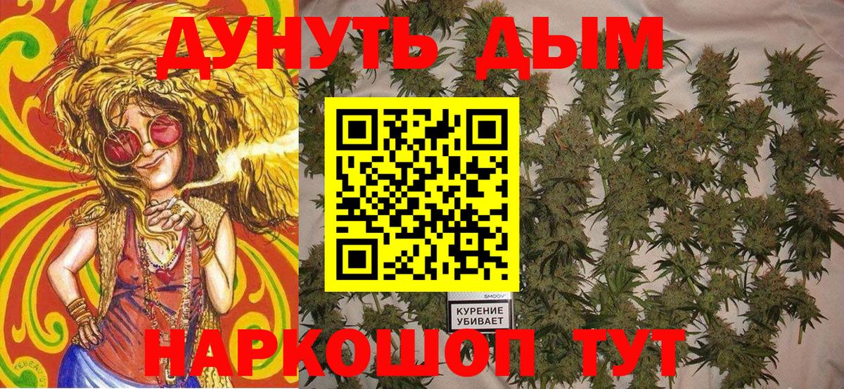 Каннабис план Юрга